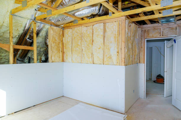 Best Insulation Maintenance and Repair in Providence Village, TX